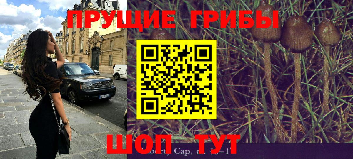 Южноуральск  Псилоцибиновые грибы GOLDEN TEACHER  сколько стоит  Вход с VPN 